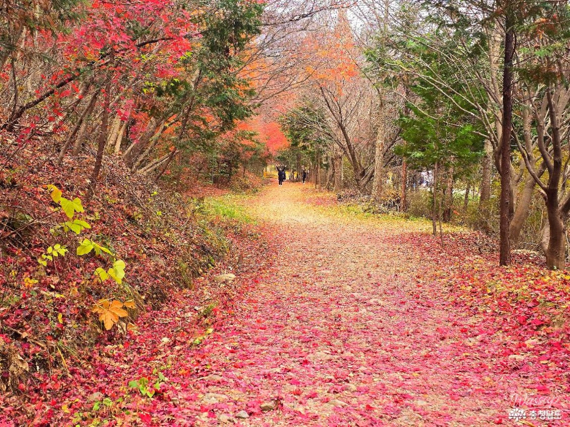 흥미로운 이미지