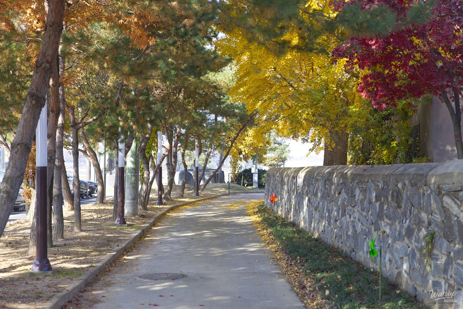 멋진 사진