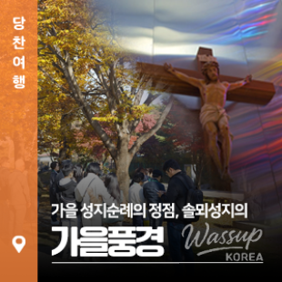 멋진 사진