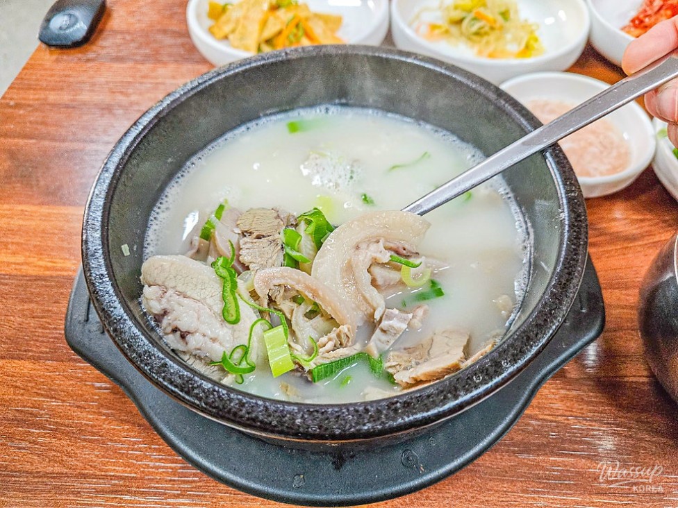 신비로운 모습