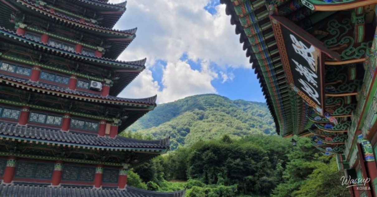 Mysterious Appearance