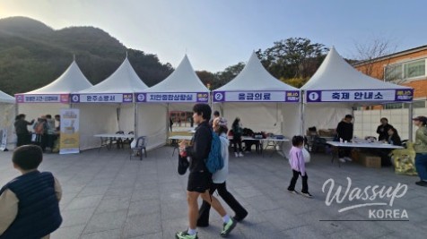 Traditional Wanju dried persimmons and ginger displayed for sale