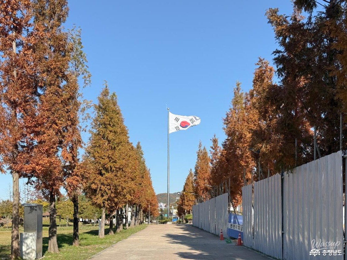 흥미로운 이미지