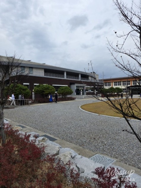 Mysterious appearance