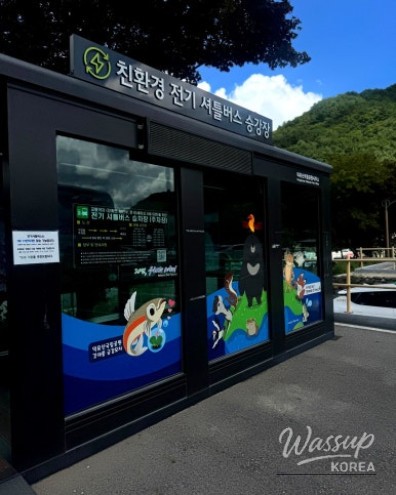 Trees covered in thick snow frost, known as snow flowers, near Baengnyeonsa Temple