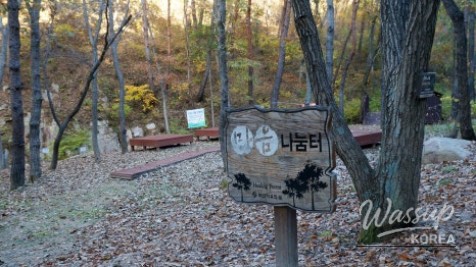 Mysterious Appearance