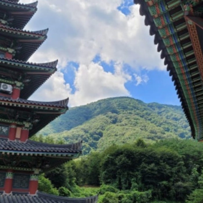 Mysterious Appearance