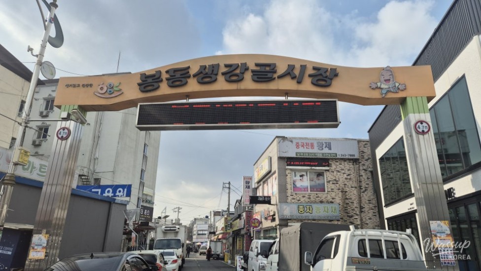 A high-quality display of freshly harvested Wanju ginger at the festival entrance
