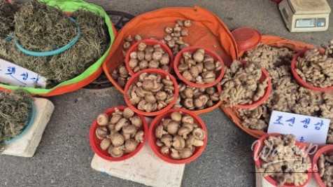 Smiling local farmers showcasing their harvest at the Bongdong festival