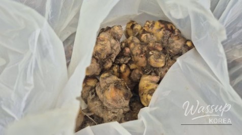 Informational boards explaining the health benefits of ginger