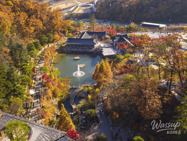 Exploring Korea's Best Autumn Forests_04