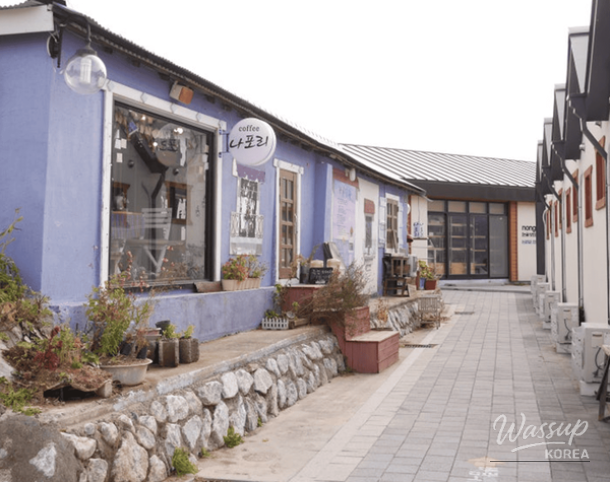 Exploring the Winter Beauty of Donghae: Top 4 Must-Visit Spots_03