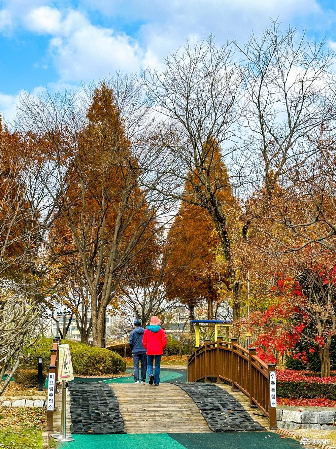 Autumn Stroll at Sinjeong Lake Park_05