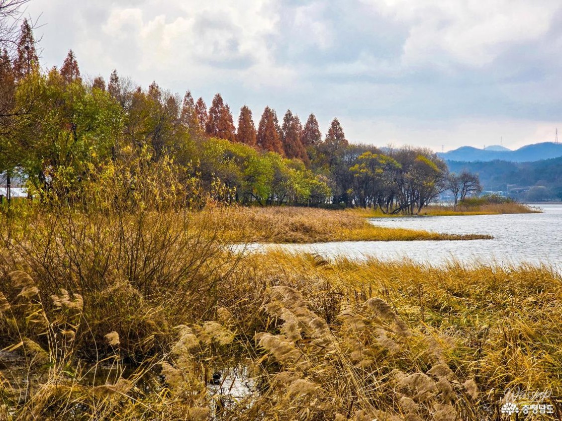 Autumn Stroll at Sinjeong Lake Park_04