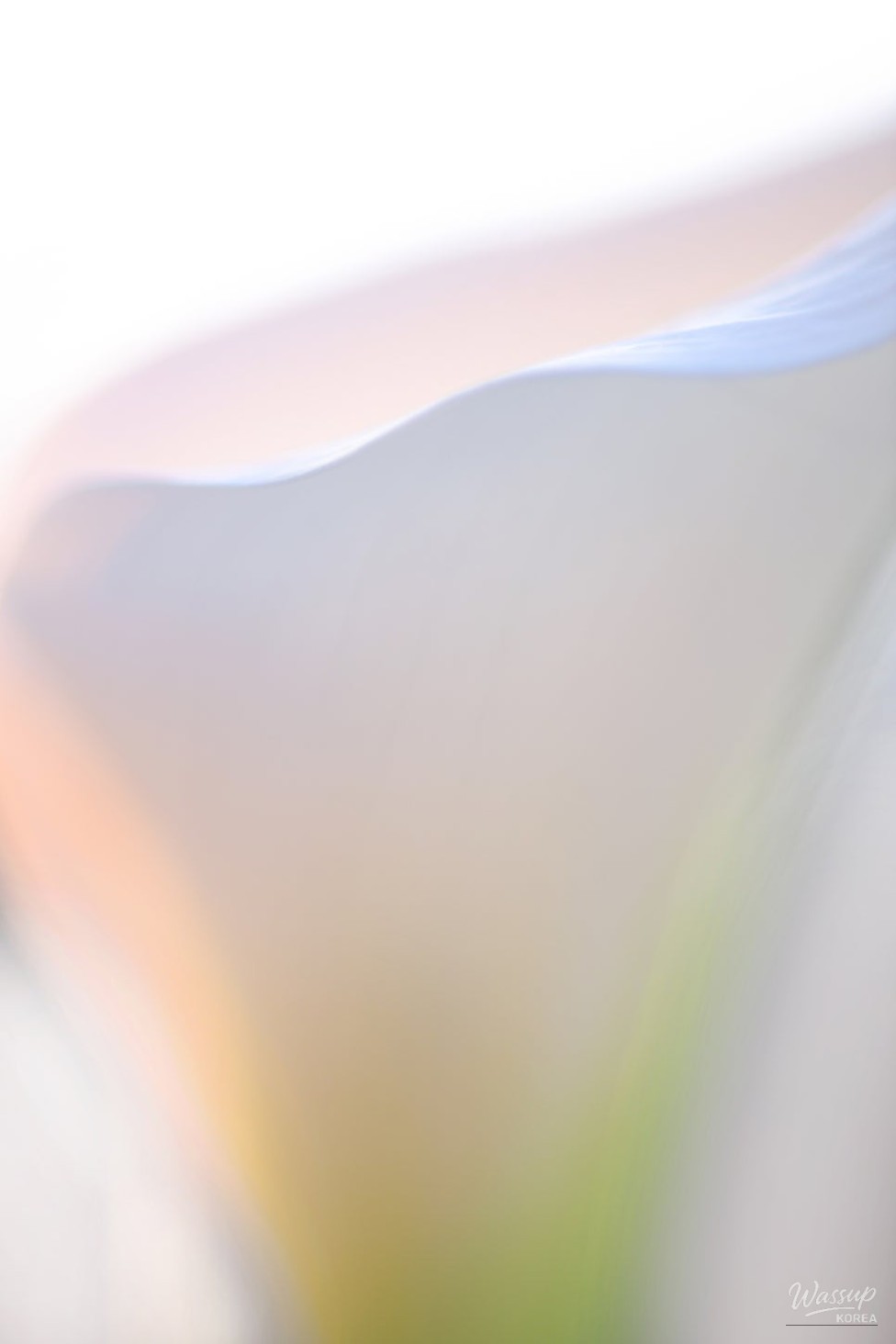 2025 Gongju Photographer of the Year Exhibition - Jo Eun-ja_03