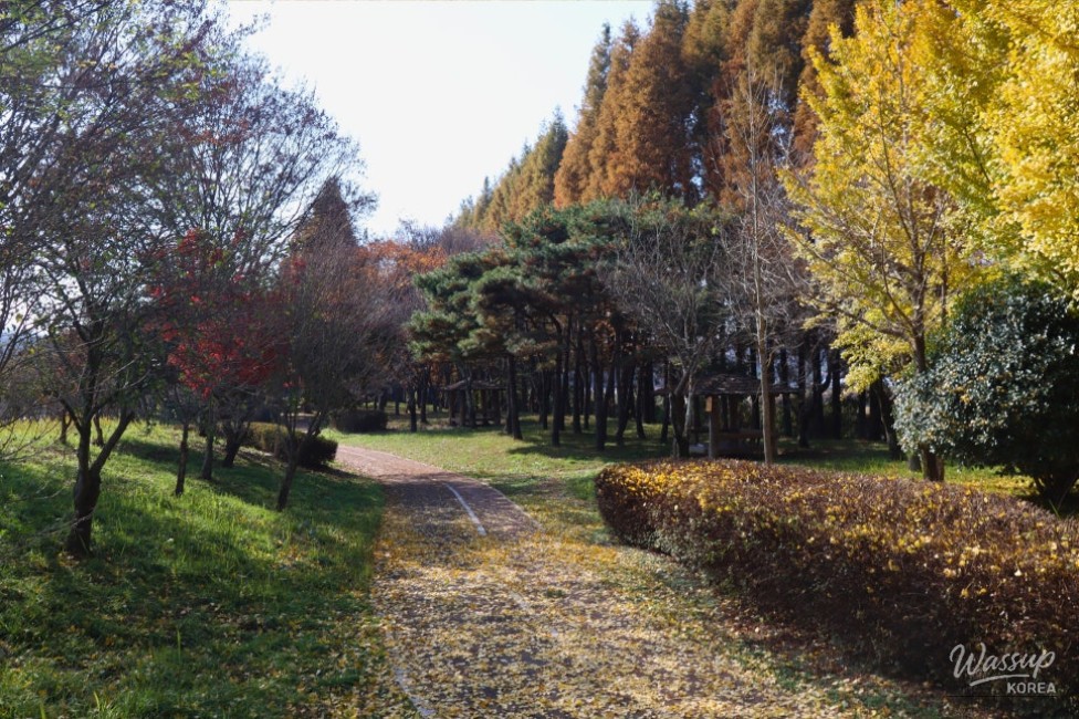 Exploring Bopsu Park in Ham-an_05