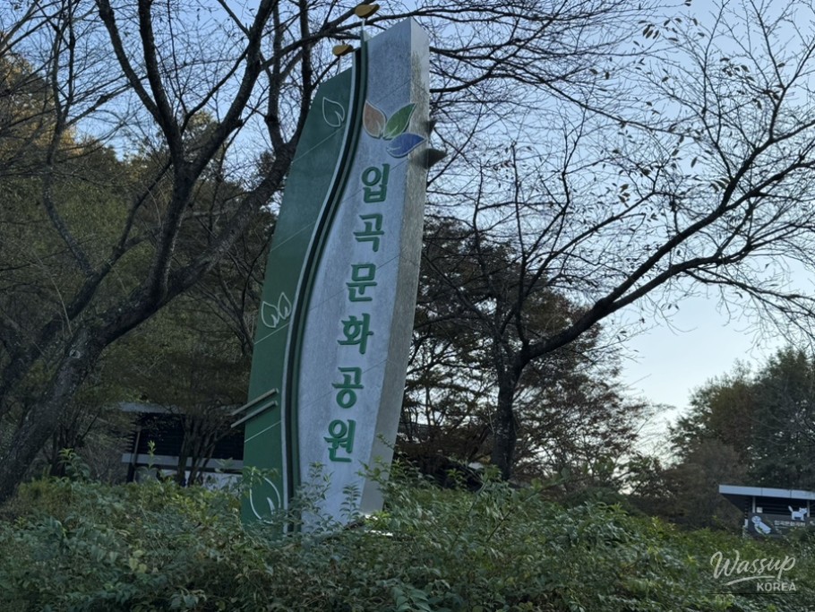 A Perfect Family Outing at Hapcheon Ipgo Cultural Park_02