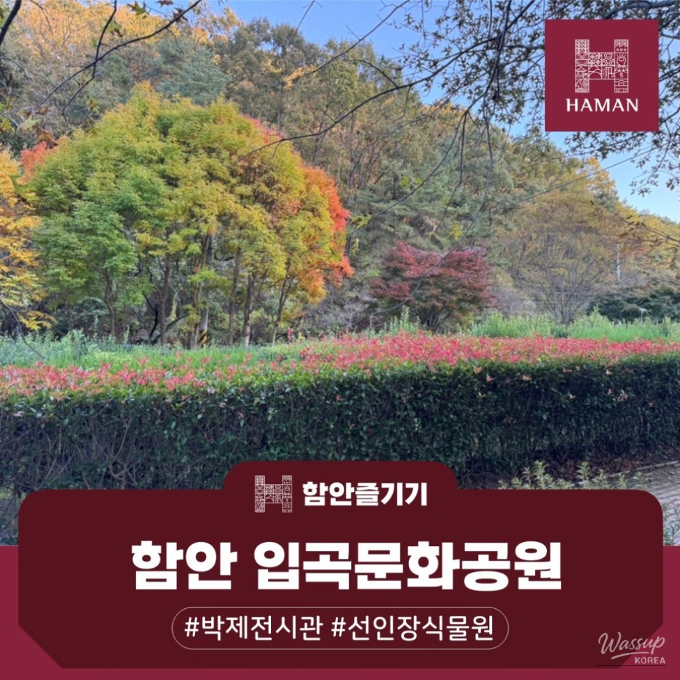 A Perfect Family Outing at Hapcheon Ipgo Cultural Park_01