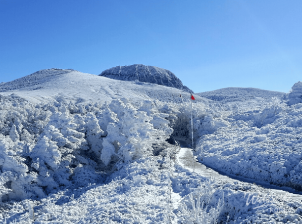 Discovering Jeju in December: A Winter Wonderland_03