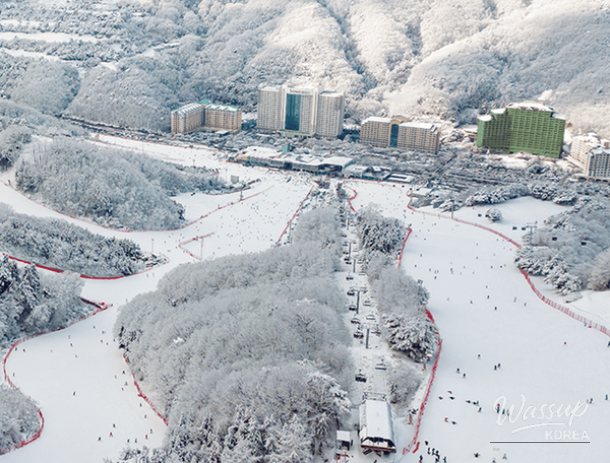 Top 4 Ski Resorts Near Seoul for a Winter Getaway_03