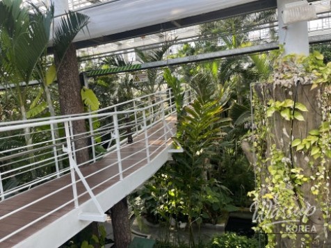 Recommended Indoor Date Spots for Winter: Gyeongju Donggungwon_02