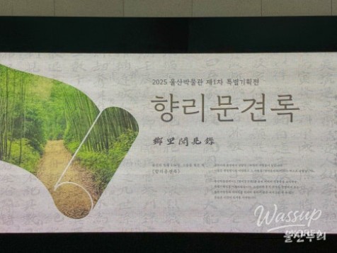 Explore the Ulsan Museum: A Journey Through History_03