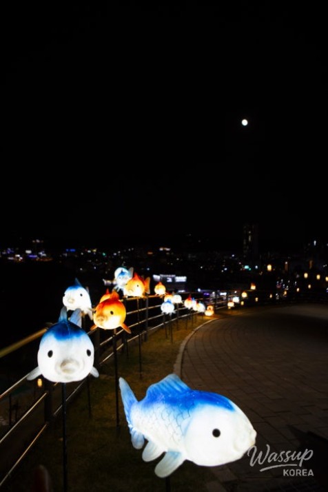 Exploring the Night Views of Jinju at Somangjinsan Lantern Theme Park_06
