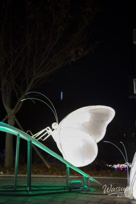 Exploring the Night Views of Jinju at Somangjinsan Lantern Theme Park_09