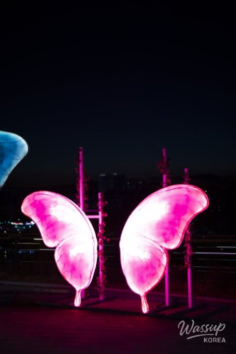 Exploring the Night Views of Jinju at Somangjinsan Lantern Theme Park_08