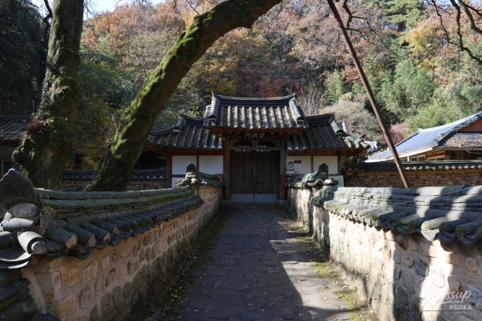 Exploring Jangheung Wolsanjae: A Place of Learning and Beauty_05