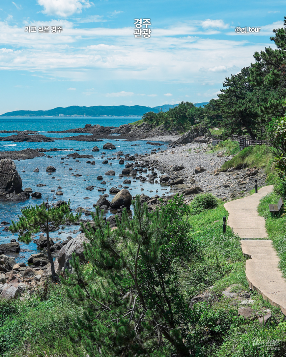 Discovering the Winter Beauty of Gyeongju's Coastal Gems_06