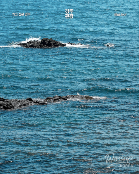 Discovering the Winter Beauty of Gyeongju's Coastal Gems_04