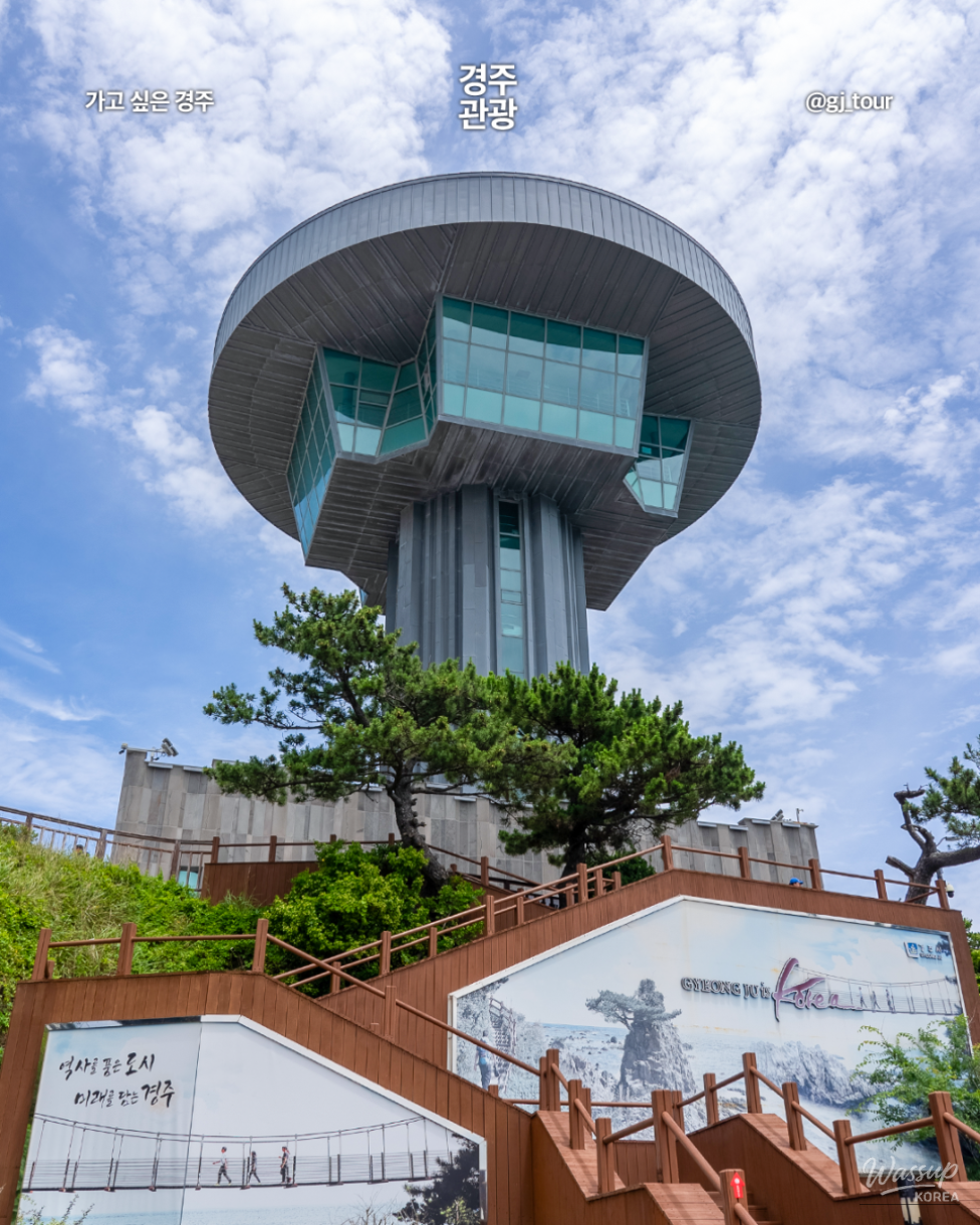 Discovering the Winter Beauty of Gyeongju's Coastal Gems_07