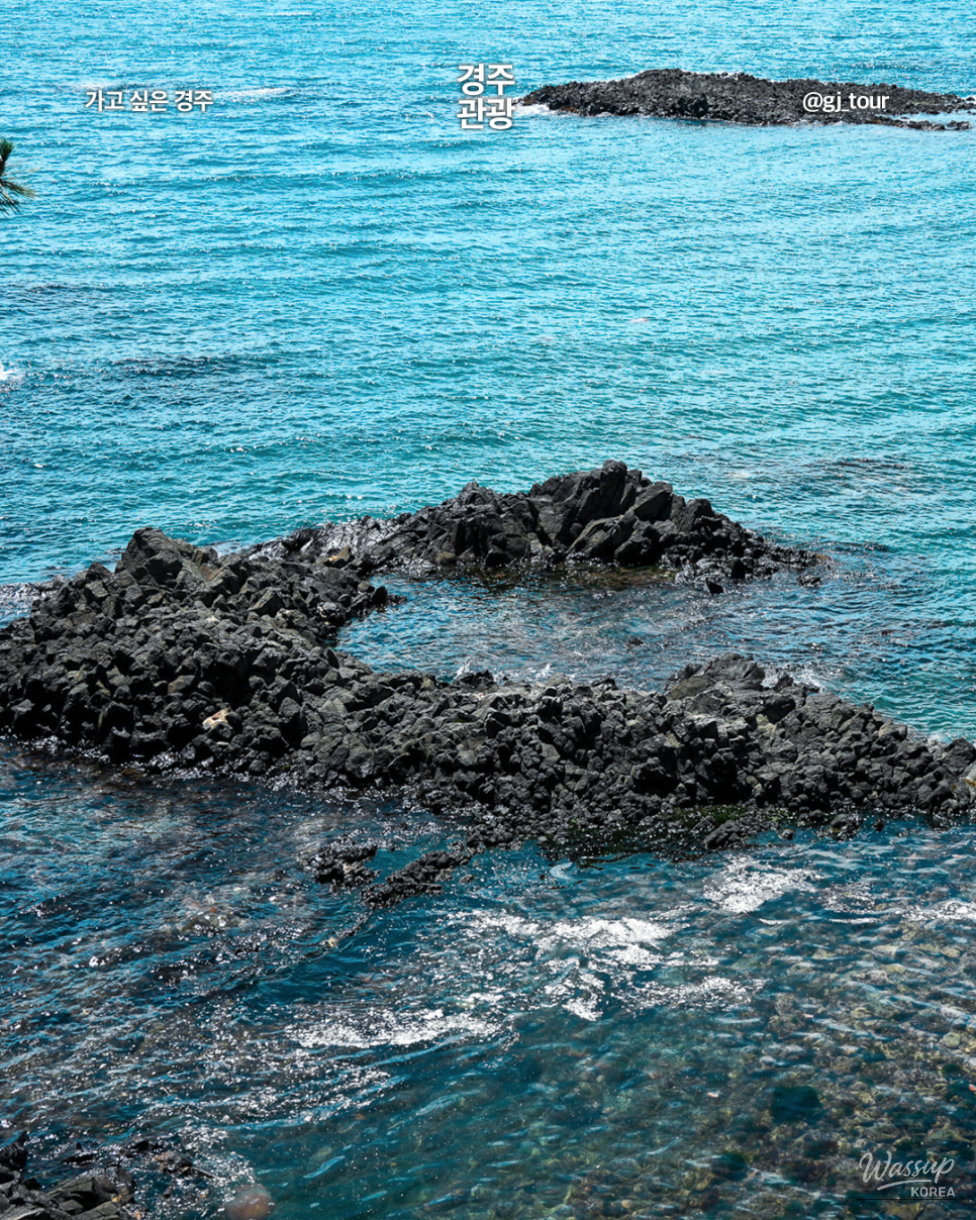 Discovering the Winter Beauty of Gyeongju's Coastal Gems_03