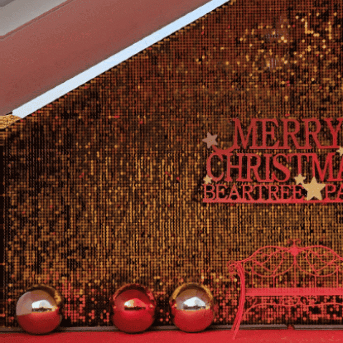 Winter Wonderland at Bear Tree Park_01