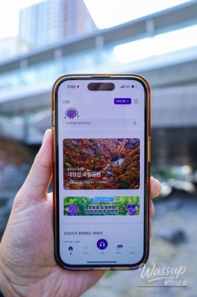 Discover Hidden Stories of Seoul with Odii_02