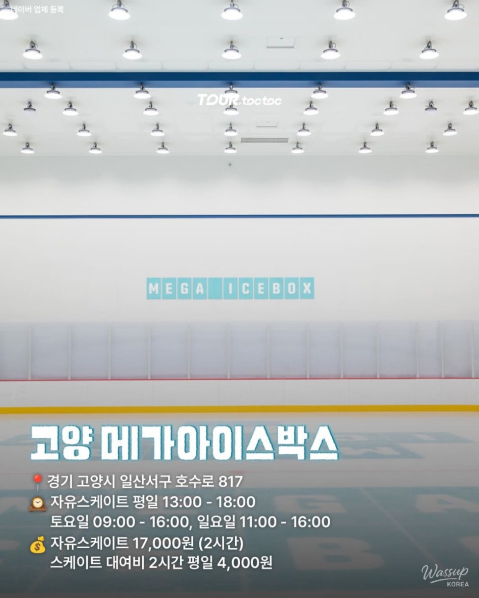 Top 9 Indoor Ice Rinks in Korea_04