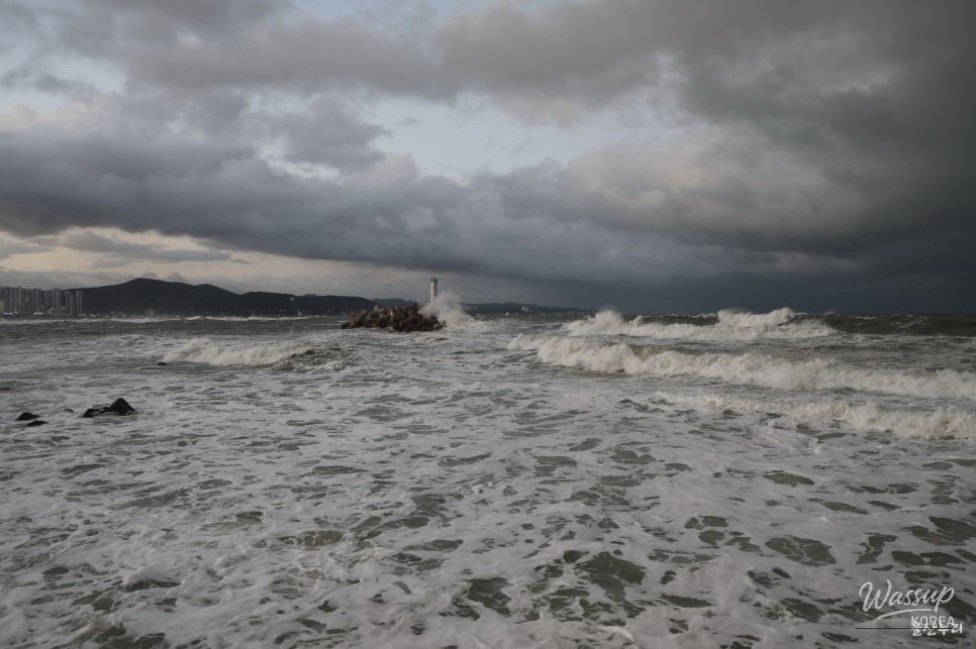 The Enchantment of Ulsan's Coastal Beauty_14