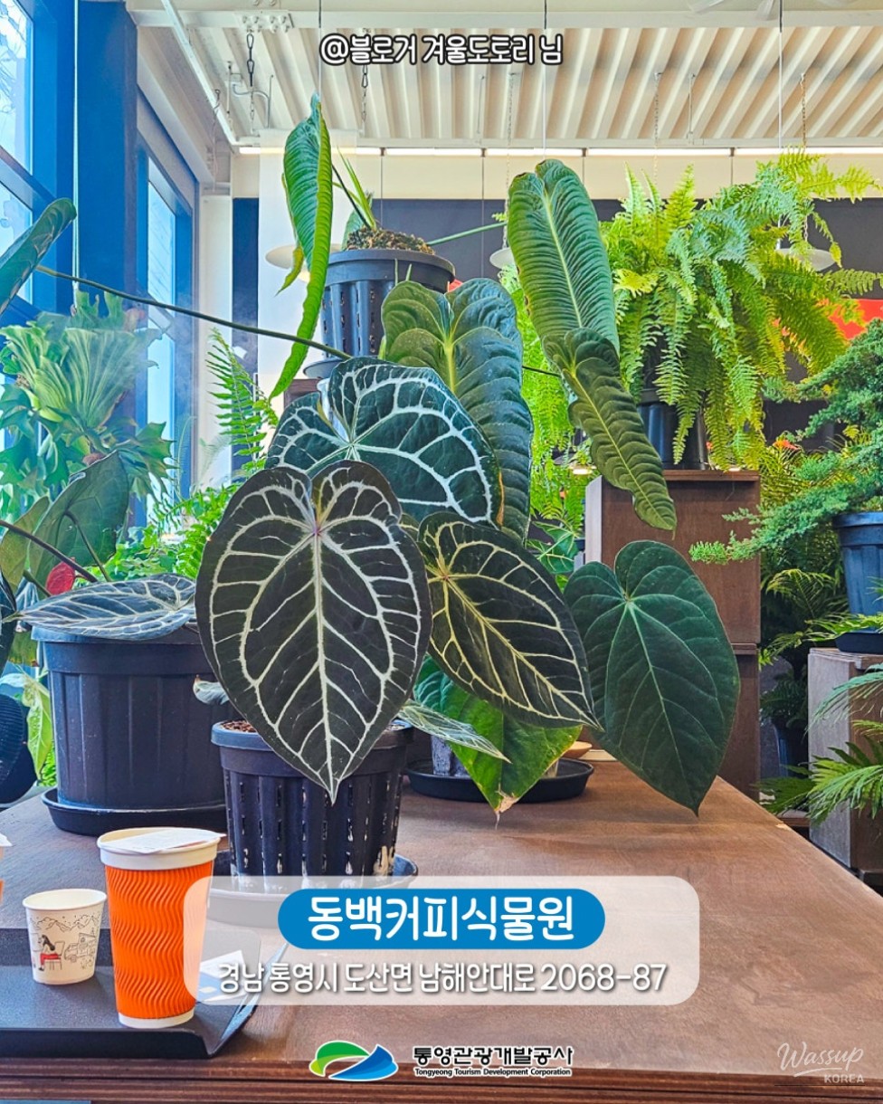 Indoor Travel Destinations in Tongyeong for Winter Family Trips_12