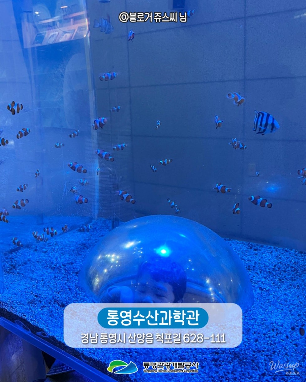 Indoor Travel Destinations in Tongyeong for Winter Family Trips_03