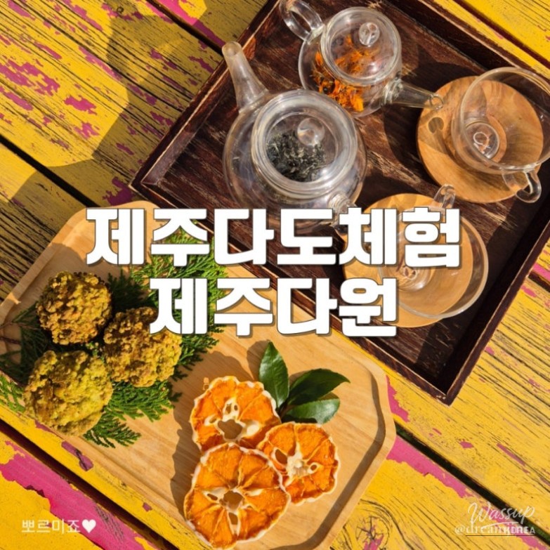 A Memorable Visit to Jeju Dawon Tea Garden and Maze Park_02