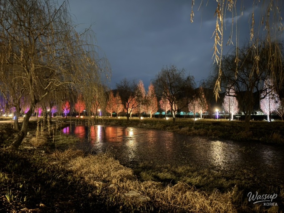 A Night Walk at Changpo Garden_13
