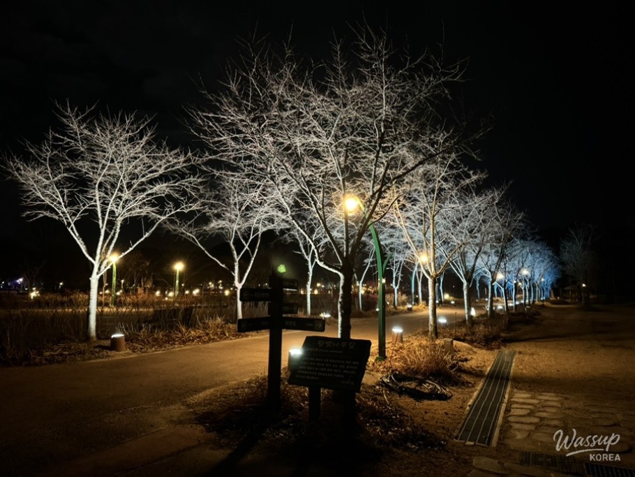 A Night Walk at Changpo Garden_02