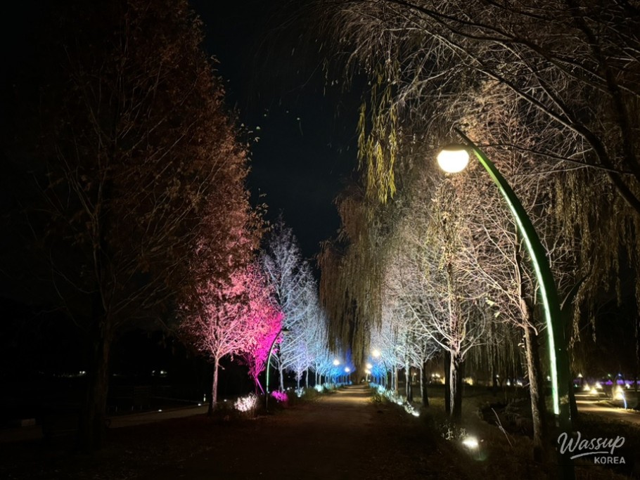 A Night Walk at Changpo Garden_12