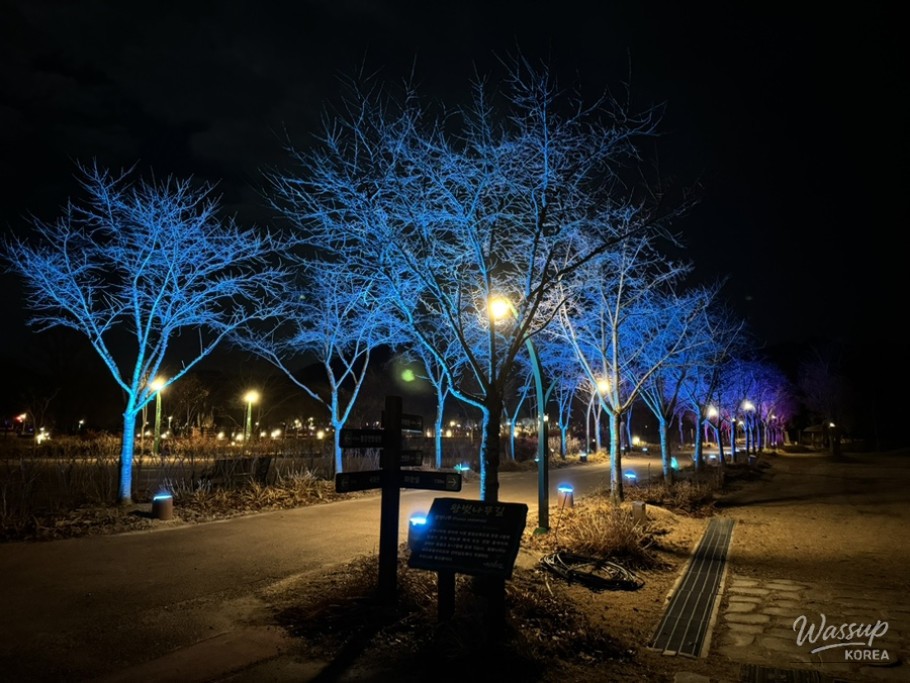 A Night Walk at Changpo Garden_03