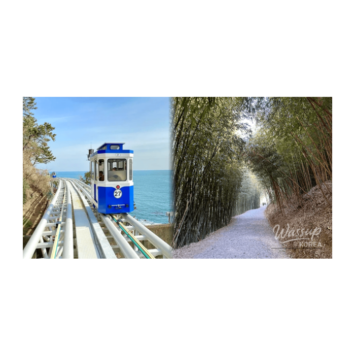 Winter Charm in Busan: Top 4 Places to Visit_01