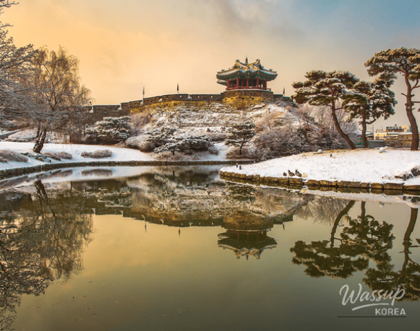 Winter Attractions in Suwon_03