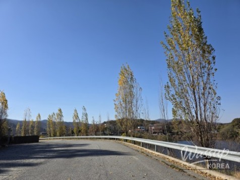 Exploring the Beautiful Baekgok Reservoir in Jincheon_10
