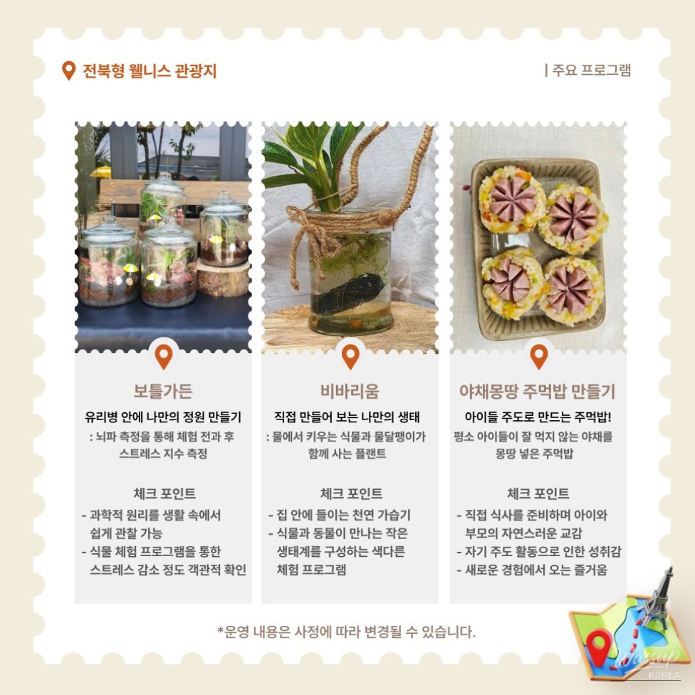 A close-up of colorful flowers blooming in the garden