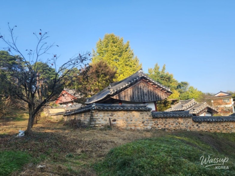 A serene view of the bamboo-lined path leading to the Mangyeong River near Sesimjeong